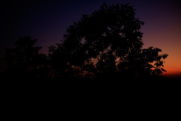 Fototapeta premium Beautiful sunrise.