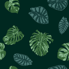 Vector Tropic Seamless Pattern. Philodendron and Alocasia Leaves. Hand Drawn Jungle Foliage in Watercolor Style. Exotic Background. Seamless Tropic Leaf for Textile, Cloth, Fabric, Decoration, Paper.