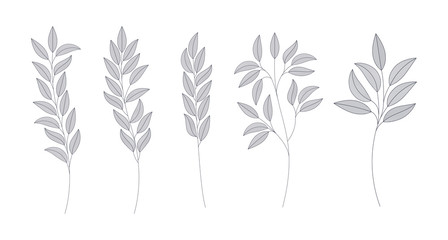 set of monochrome laurel leafs