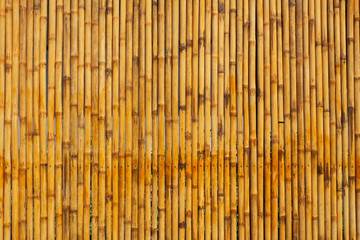 bamboo wall background