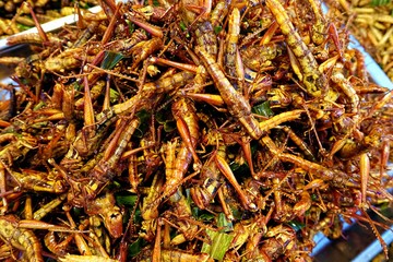 Deep Fried Locusts