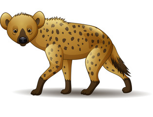 Cartoon funny hyena walking isolated on white background