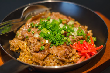 japanese food with beef and rice