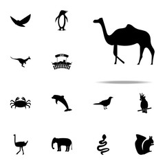 silhouette of a camel icon. zoo icons universal set for web and mobile