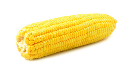Corn isolated on white background.