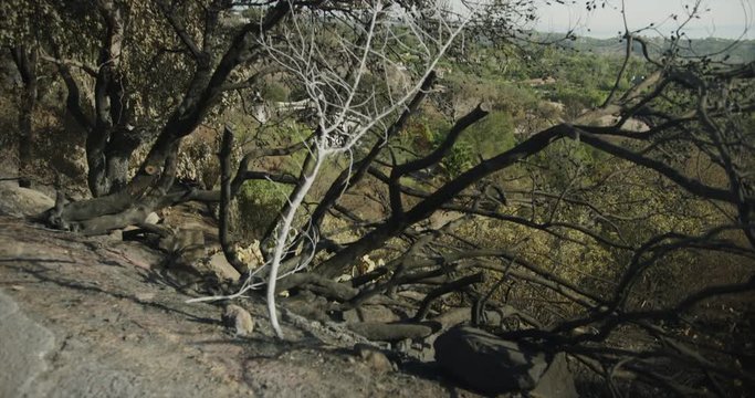 Gimbal shot of fire damage caused by Thomas Fire in Montecito hills Dec 2017. Santa Barbara county, California