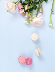 Flowers background. Pastel colors pink ranunkulus flowers,  macaroni cakes  on pale blue background. Top view.Copy space
