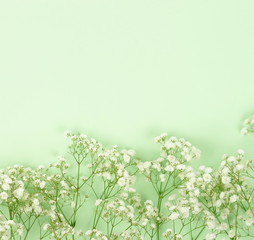 Flowers background. bouquets frame border of a white gypsophila flower on a pale green background....
