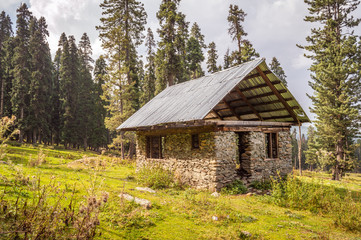 Fototapeta na wymiar Oblque view of a stone masonry house with a pitched roof in a forest in Kashmir
