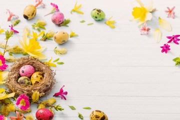 Obraz na płótnie Canvas Easter eggs in nest with spring flowers on wooden background