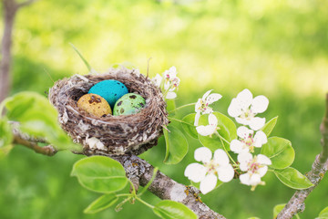 Naklejka na ściany i meble Easter eggs in nest outdoor