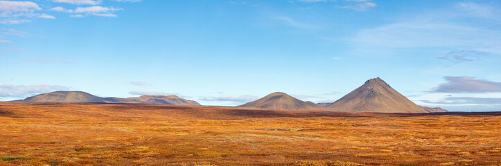 View of the volcano. Beautiful autumn landscape with mountains and bright vegetation. Iceland. Europe