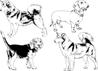 vector drawings sketches pedigree dogs in the racks drawn in ink by hand , objects with no background