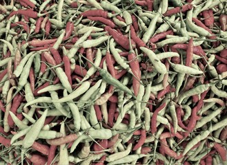 Red and green chilies. Spicy food ingredients.