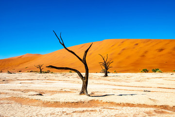2018-10 Namibia
