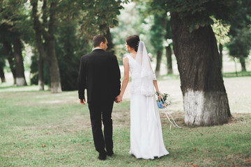 Beautiful romantic wedding couple of newlyweds hugging in park