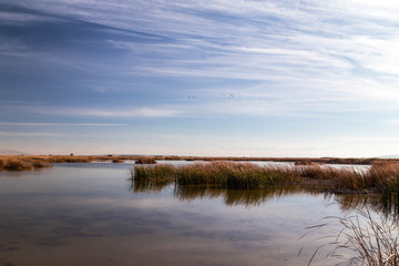 Lake in the steppe of kazakhstan in the autumn.