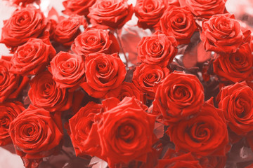 bouquet of roses pattern