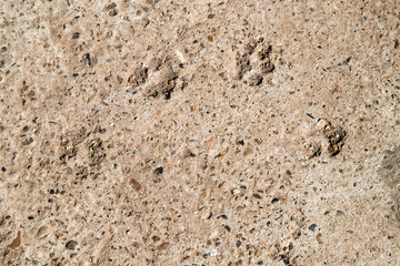 Texture of the wall for background. Roughness