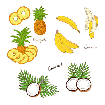 Banana, coconut, pineapple. Set. Doodle, sketch
