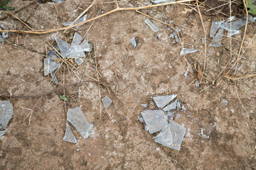 Broken glass shards on the ground mixed with grass