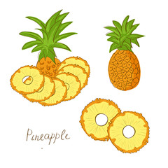 A pineapple. Exotic fruit. Sketch. Doodle. Set.