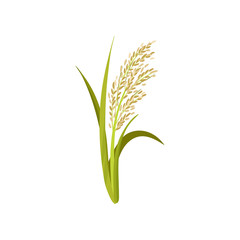 Naklejka premium Flat vector icon of rice. Grain culture. Agricultural crop. Organic product. Botanical and farming theme