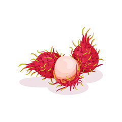Two whole and one half-peeled rambutan. Exotic fruit. Natural and healthy food. Detailed flat vector design