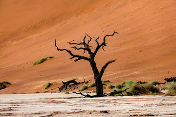 2018-10 Namibia