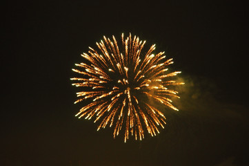 Fireworks in dark sky