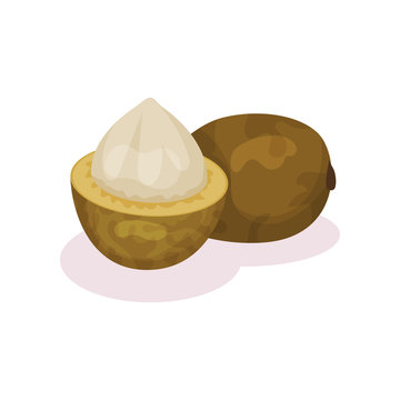 Whole and half-peeled bacuri. Platonia insignis. Ripe exotic fruit. Organic food. Detailed flat vector design