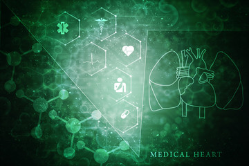 2d illustration  Anatomy of Human Heart 