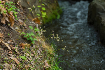 Alto adige nature outdoor walk tour