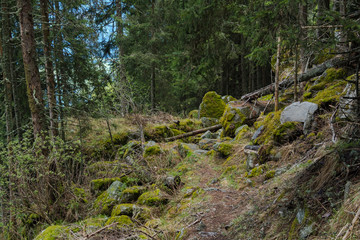 Alto adige nature outdoor walk tour