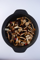 Wild forest fungus soup