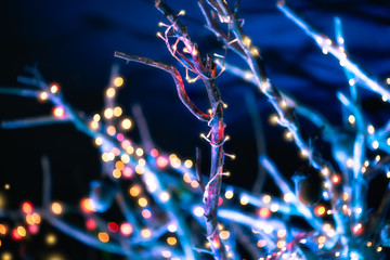 Decorative holiday lights. Garden party.