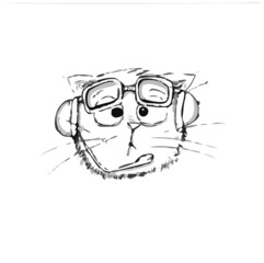 Cat Cartoon with White Backgorund