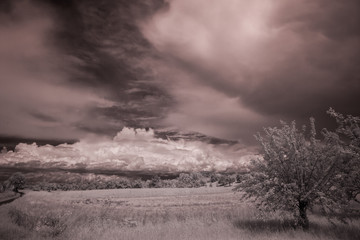 Fototapeta na wymiar Gewitterwolken in Infrarot (unbearbeitet)