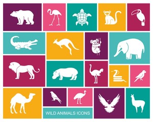 Wild animals and birds icons set. Vector Illustration