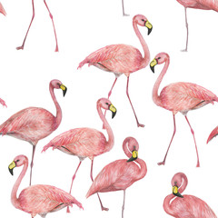 Watercolor painting seamless pattern with flamingo birds on white background