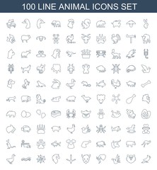 animal icons