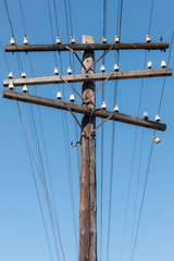power line pole against the sky