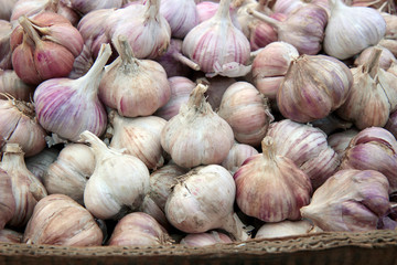 fresh garlic on the market