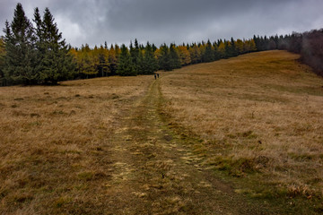 Man travels with a backpack in the landscape.Testing lifestyle.