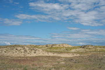Landscape of the Curonian Spit in the summer