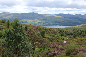 View accross to Loch Tay from the Edramucky Trail in Ben Lawers National Nature Reserve, in Perthshire in Scotland.