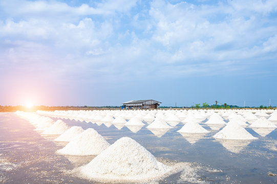 Salt field in thailand