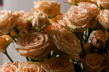 Pink roses bouquet
