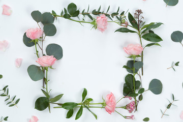 Spring or easter floral composotion with flowers, eucalyptus leaves on a white background, top view and flat lay, flower frame