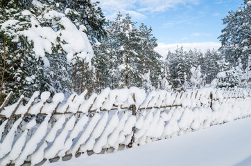 Snow-covered landscape in the countryside. Viitna, Estonia